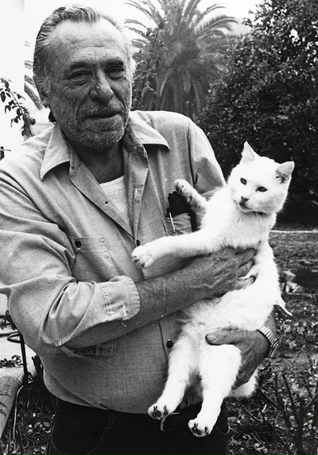 «Он явился к мoим дверям однажды вечером — мокрый, тощи...