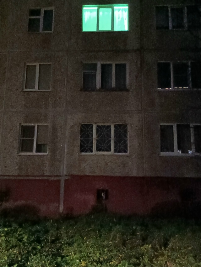 В 00:30 4-го ноября увидели кошку, выглядит домашней. Упит?...