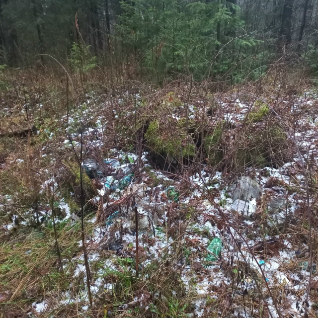Весь лес в мусоре. Люди что творите. У себя в квартире т?...