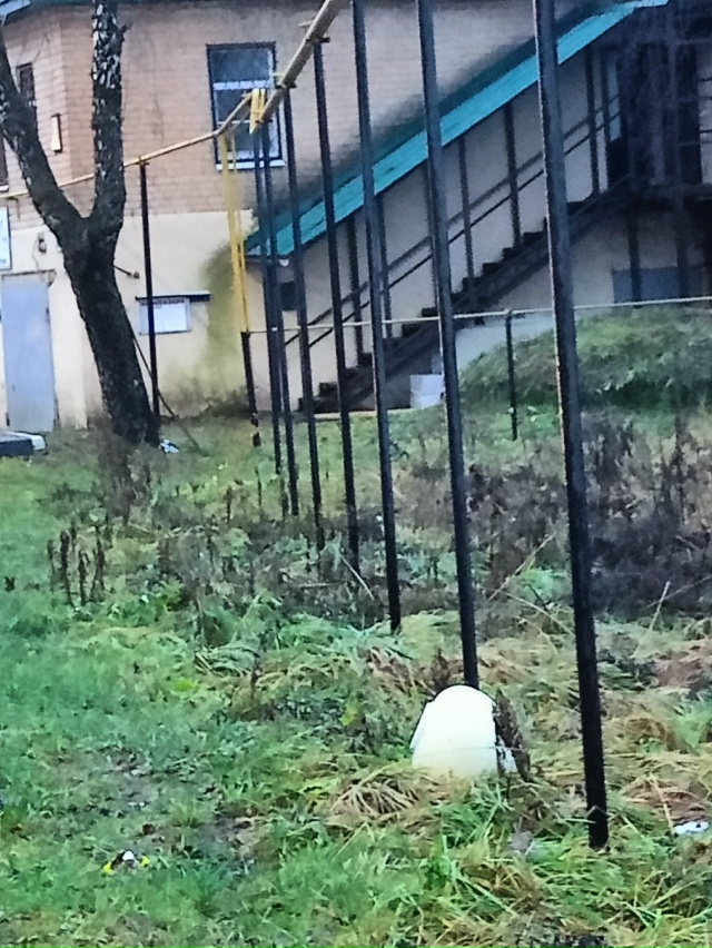 Добрый день! По адресу ул. Красная, 6 упал плафон с фонар...