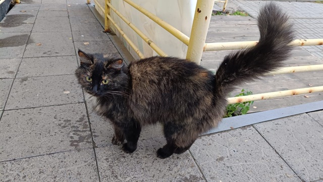 Ежедневно в 21 час по местному времени Ваши вопросы.
1⃣ ...