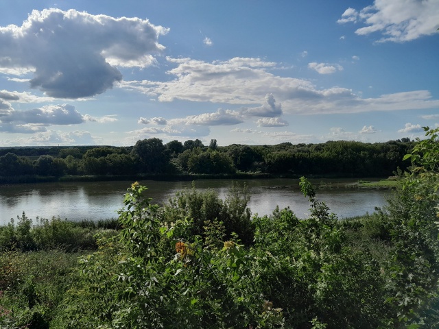 🥰Все в сад. В парк. На пруд. На королевскую игру. На кро?...