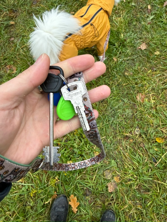 Найдены ключи у торца Ломоносова 24