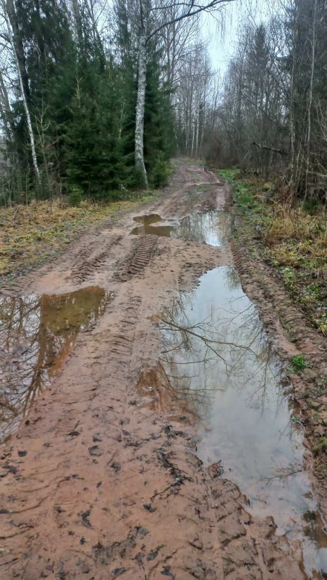 Обращаю внимание ?
Вот такая 