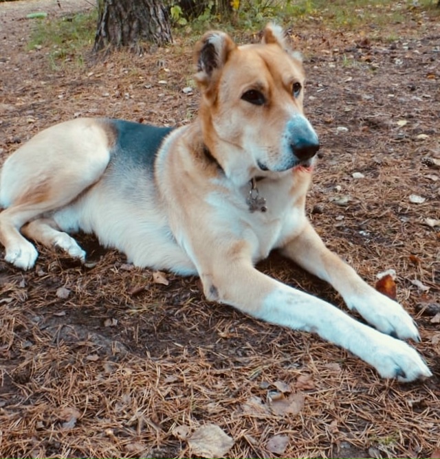 Спб и Ленобласть!
Кай в ожидании своего Человека!
Истор...