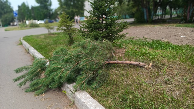 Иногда хочется, как говориться 