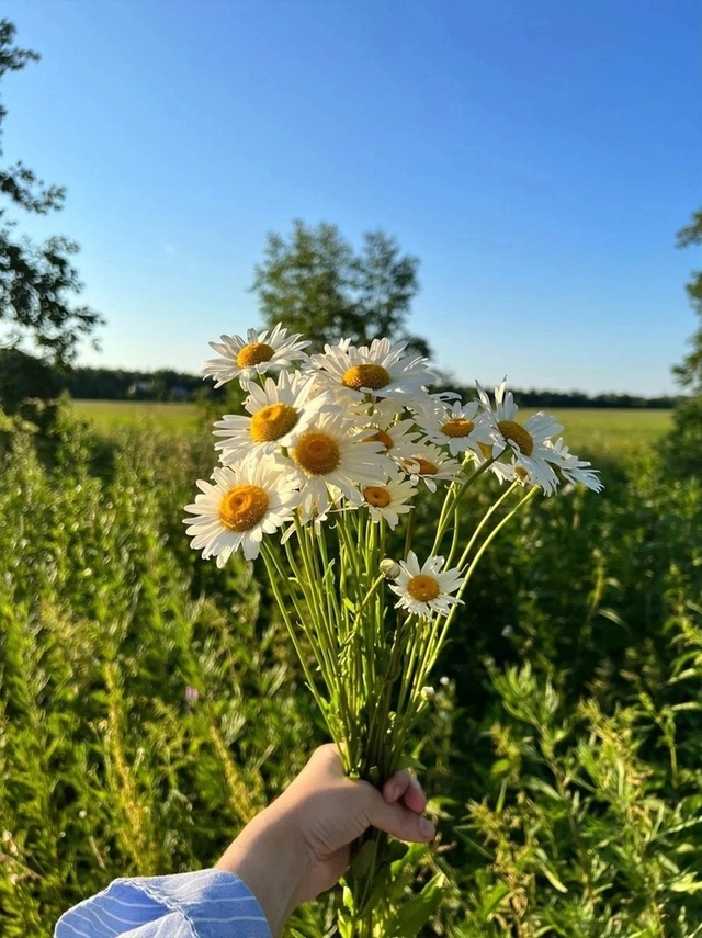 «лето — это маленькая жизнь» 🧡🌿
