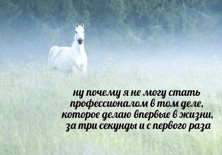 вот правда