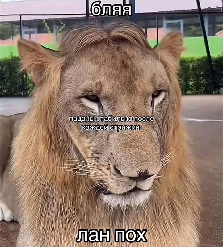 Парни, мы?