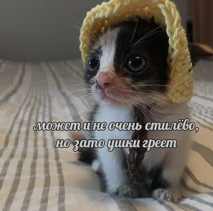 Ночная подборочка
Спать, режим