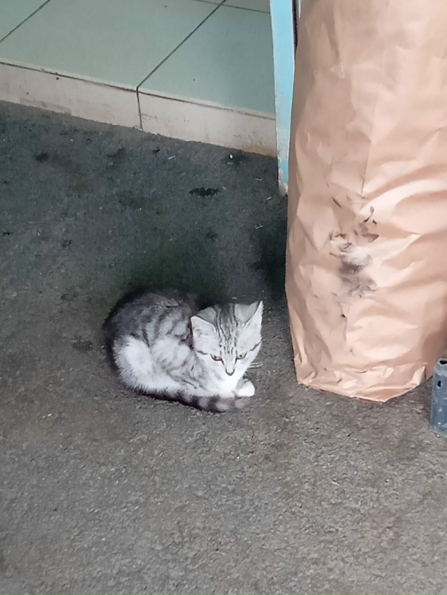 Кто потерял этого ребёнка? Появился сегодня в магазине...