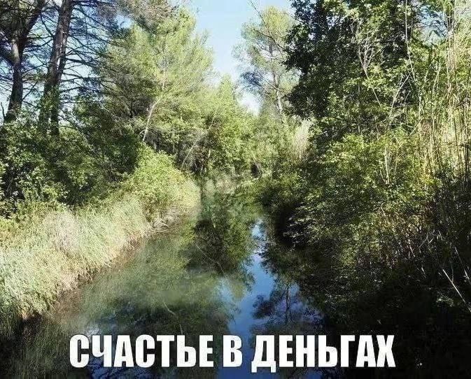 Утренняя подборочка