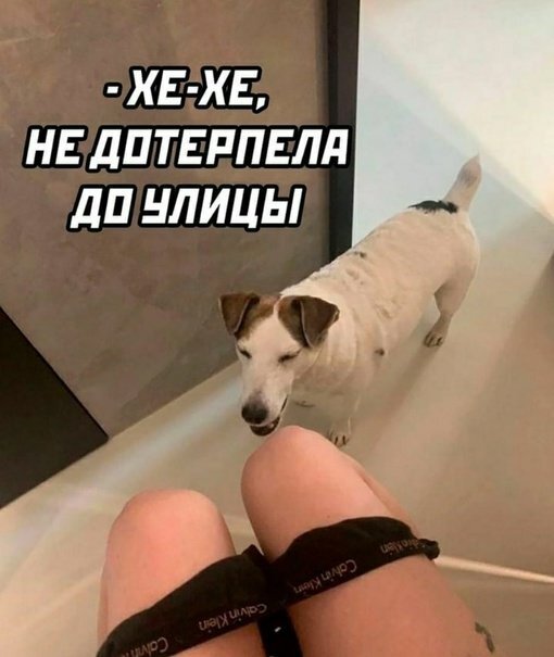 Как хорошо, когда твой любимец на одной волне с тобой😅