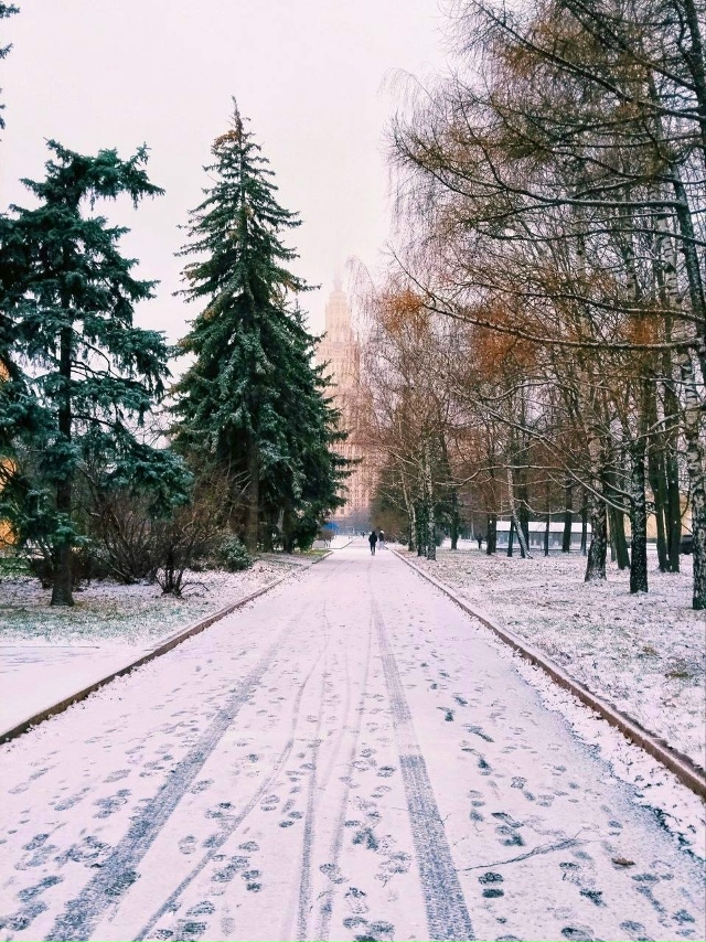 Второй «первый» снег в Москве
Снежный покров сформир...