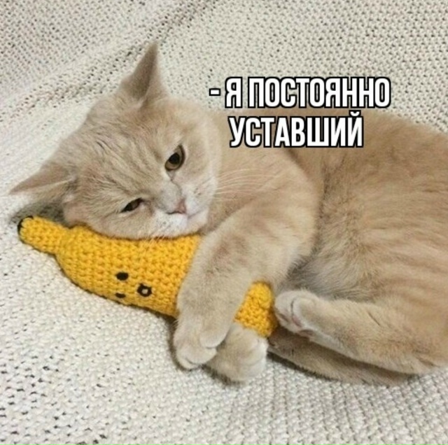 Как все это знакомо