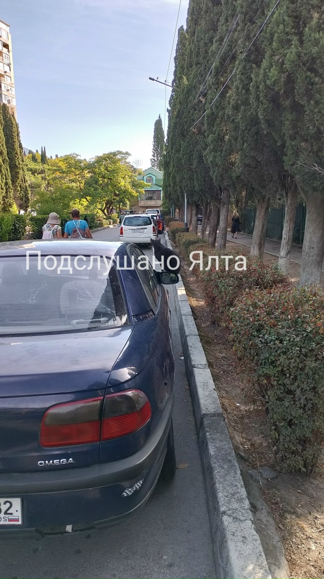 Товарищи ялтинские автолюбители. Никогда не сворачива...