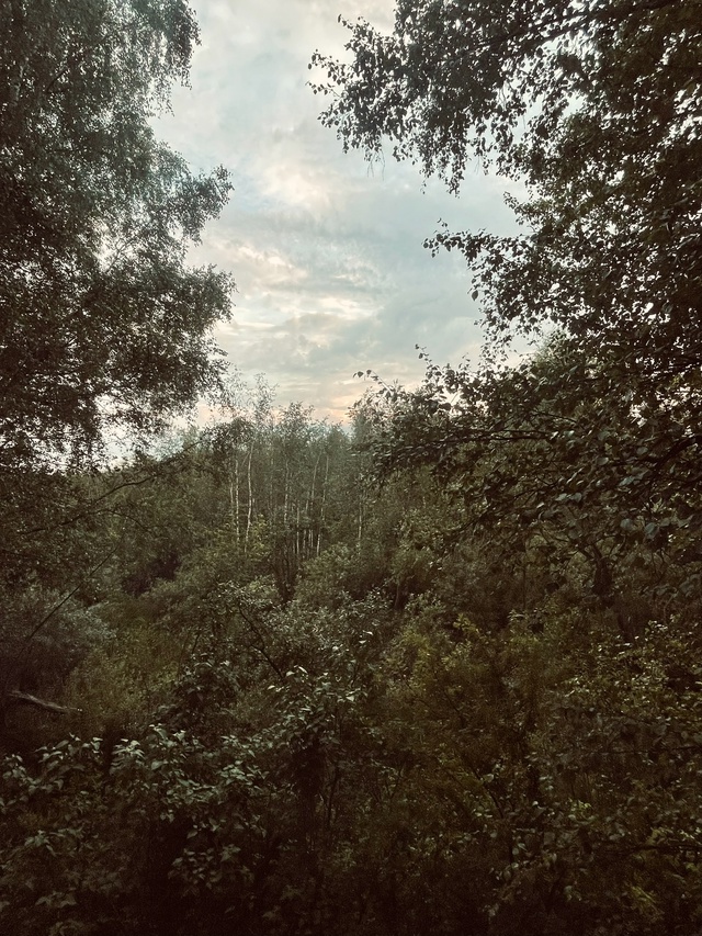 Хорошего вечера!