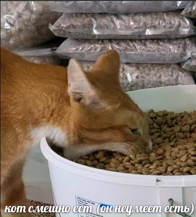 немоя фотография