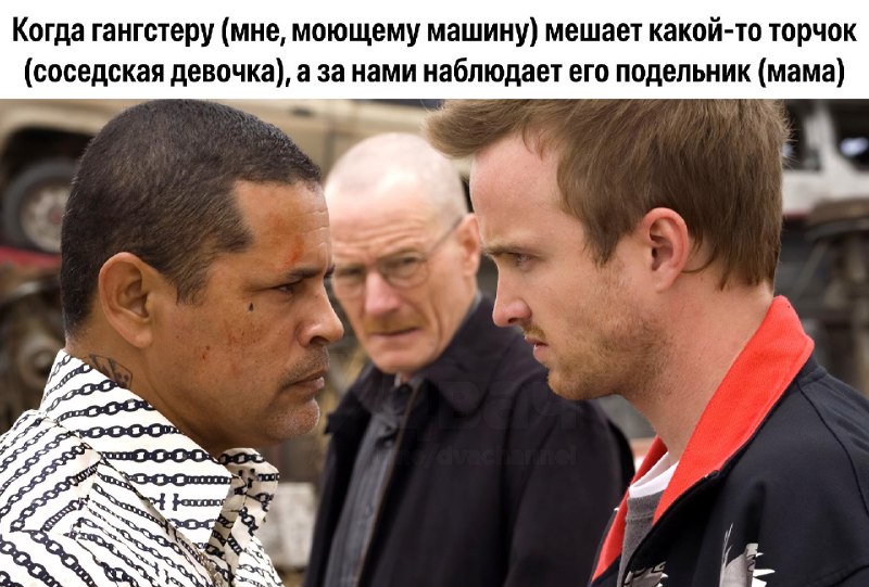 Актёра сериала «Во все тяжкие» Рэймонда Круза арестовали за то, что он… облил водой соседскую девочк
