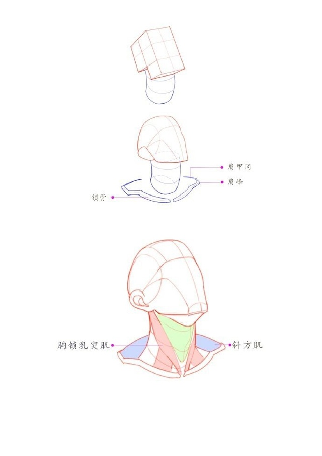 Голова
Tutorial