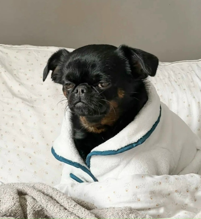 Просто я каждый день: