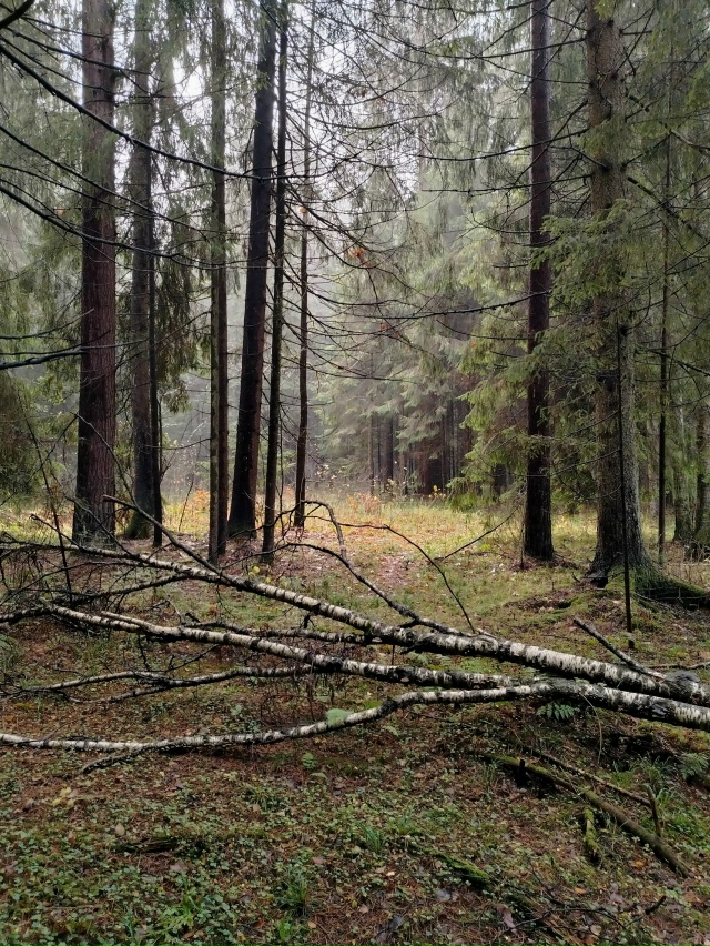 Доброго утра, Никольск❤