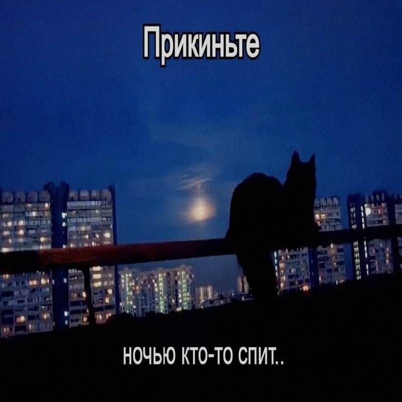 Ночная подборочка
Спать, режим