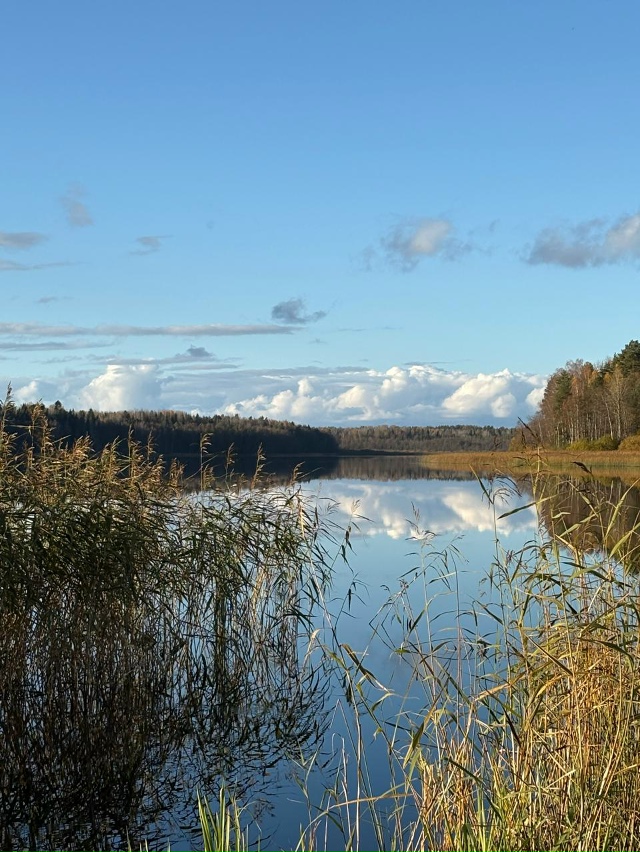 Осень в Межозёрном!