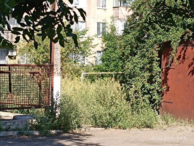 Интерестно, когда власти дадут команду, что бы покосил?...