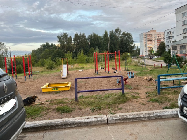 8!!! Собак на детской площадке у дома бульвар текстильщи...