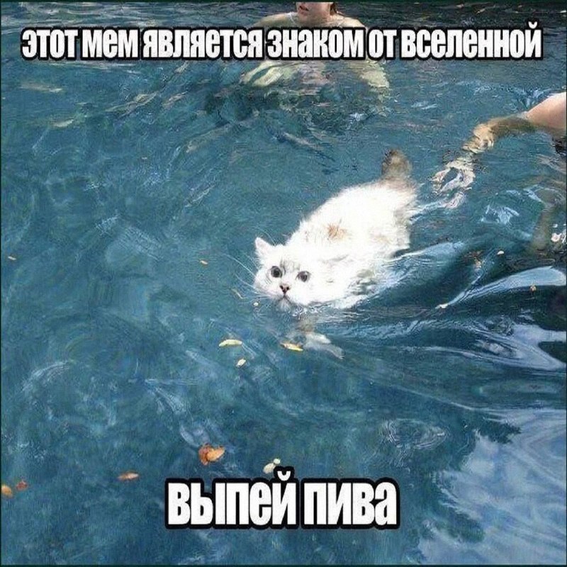 Утренняя подборочка