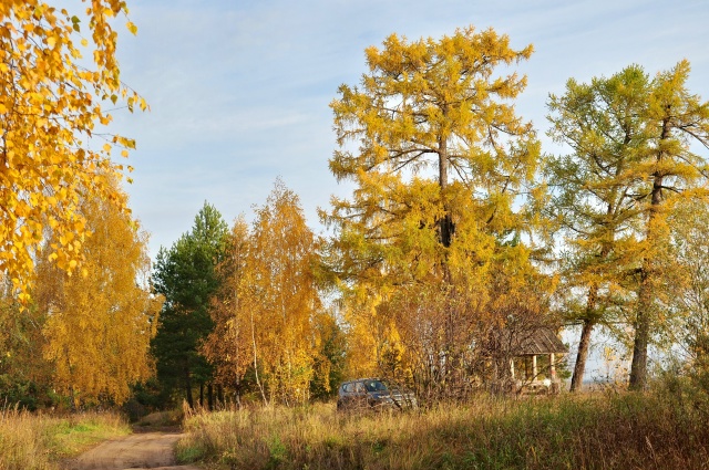Золотая Осень на воде🍂🍁
Фото: Андрей Колегов