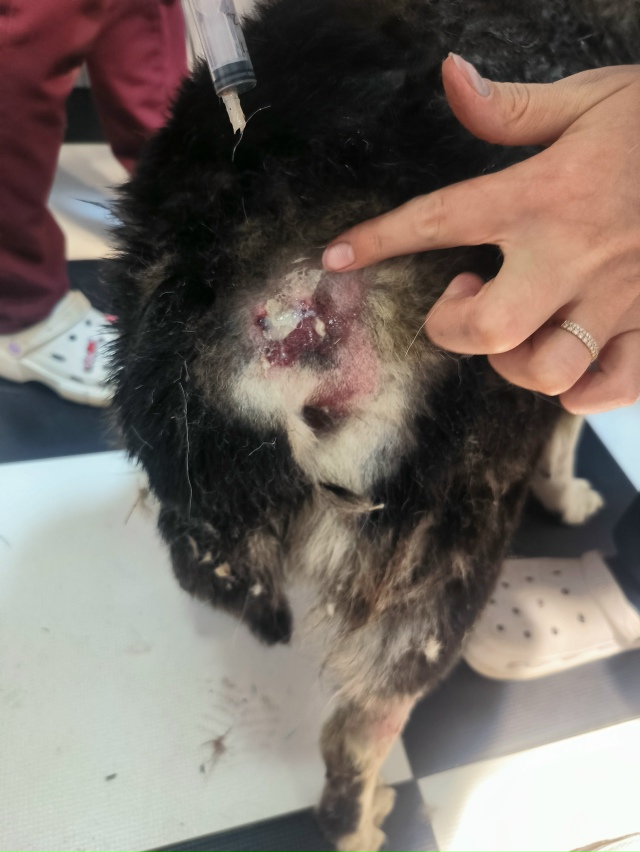 Друзья, нужна помощь! 😪
Сегодня звонит папа 