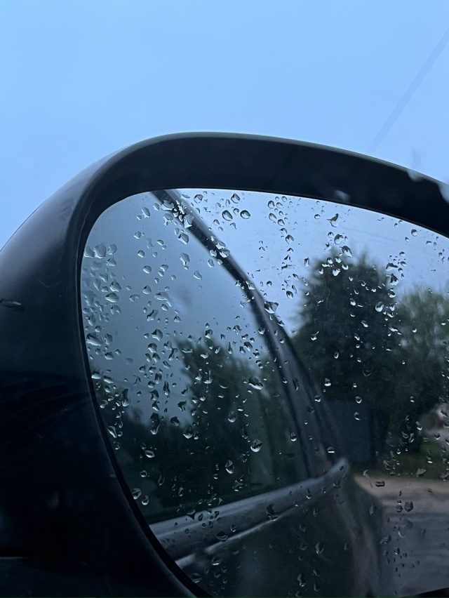 Погода дала всем нам передышку от жары 🍃
#Я_тебя_видел...