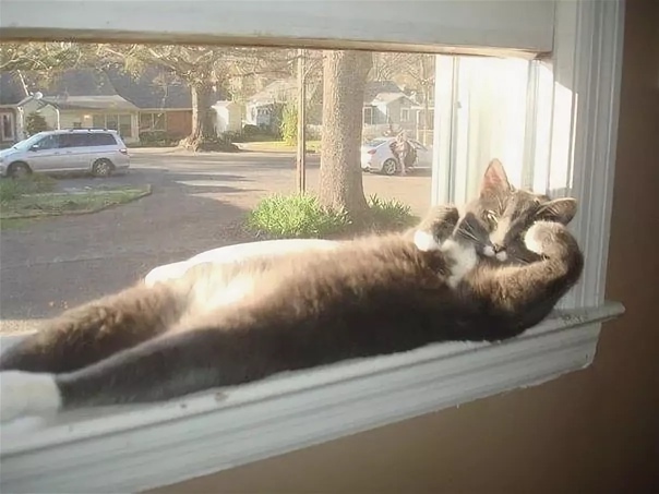 Жизнь удалась и пусть весь мир подождёт...