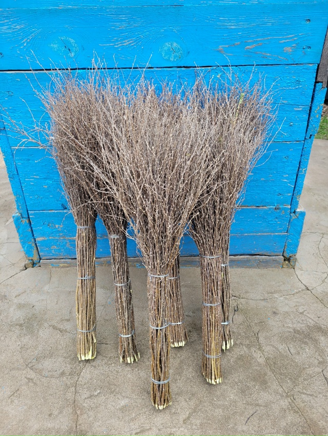 Анон. В продаже чилижные веники. Цена 75. Звонить 89226230316