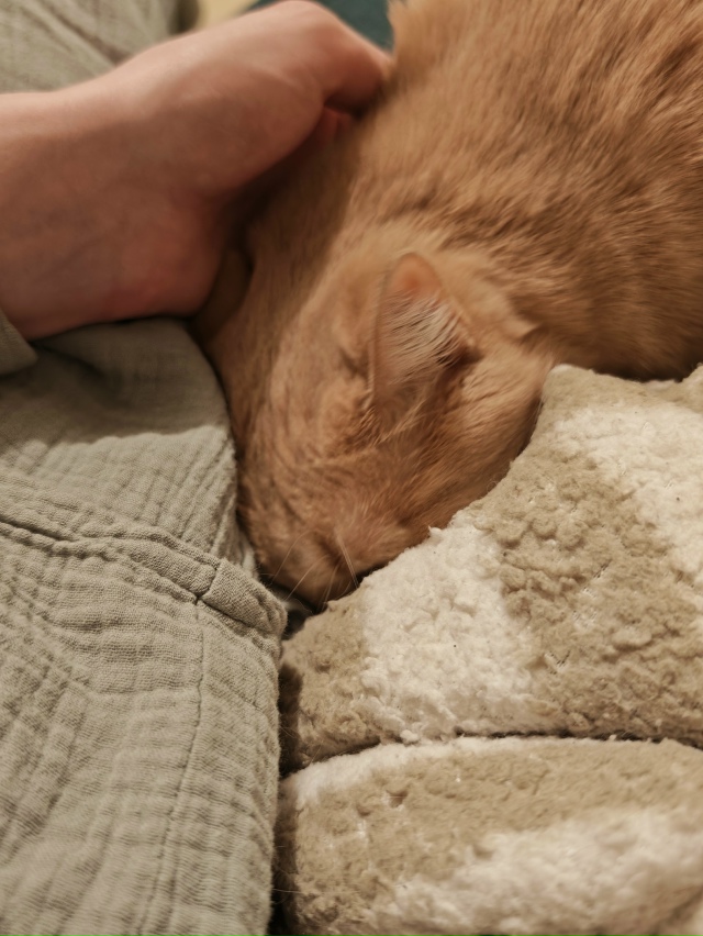 Сейчас будет рекламный пост, который мы не успели удал?...