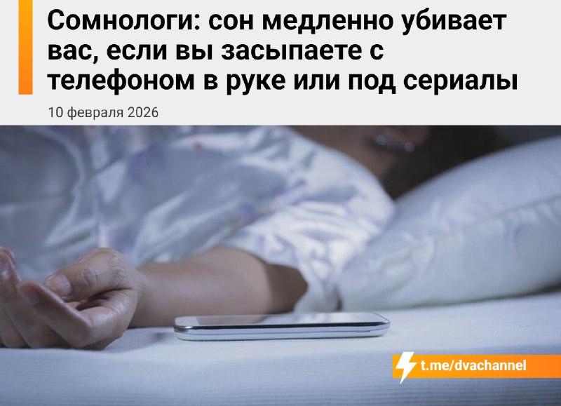 Сон с телефоном в руках или под включённый сериал медленно убивает, предупредили сомнологи
Мозг не