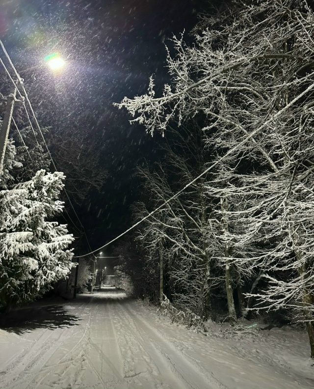 Столб в Частном секторе по улице Островского потерпел ...