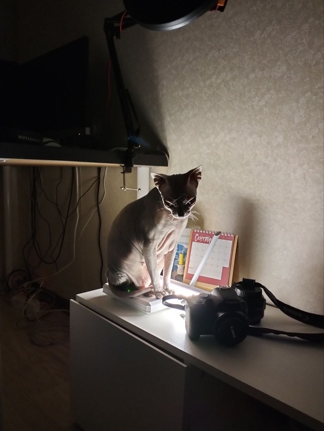 Бусинда😸
