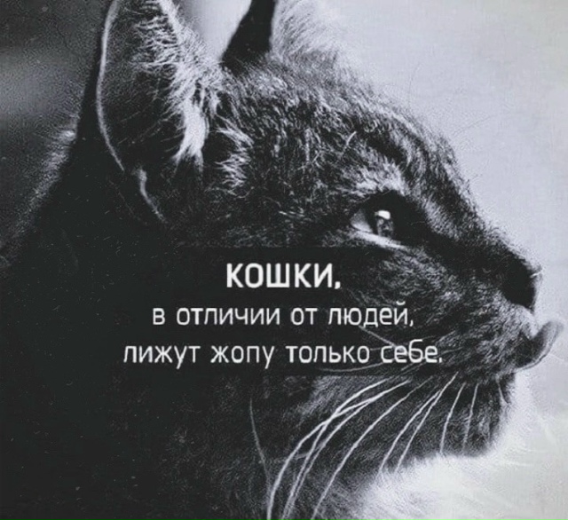 Правда жизни
Пересылайте посты друзьям, ставьте реакц...