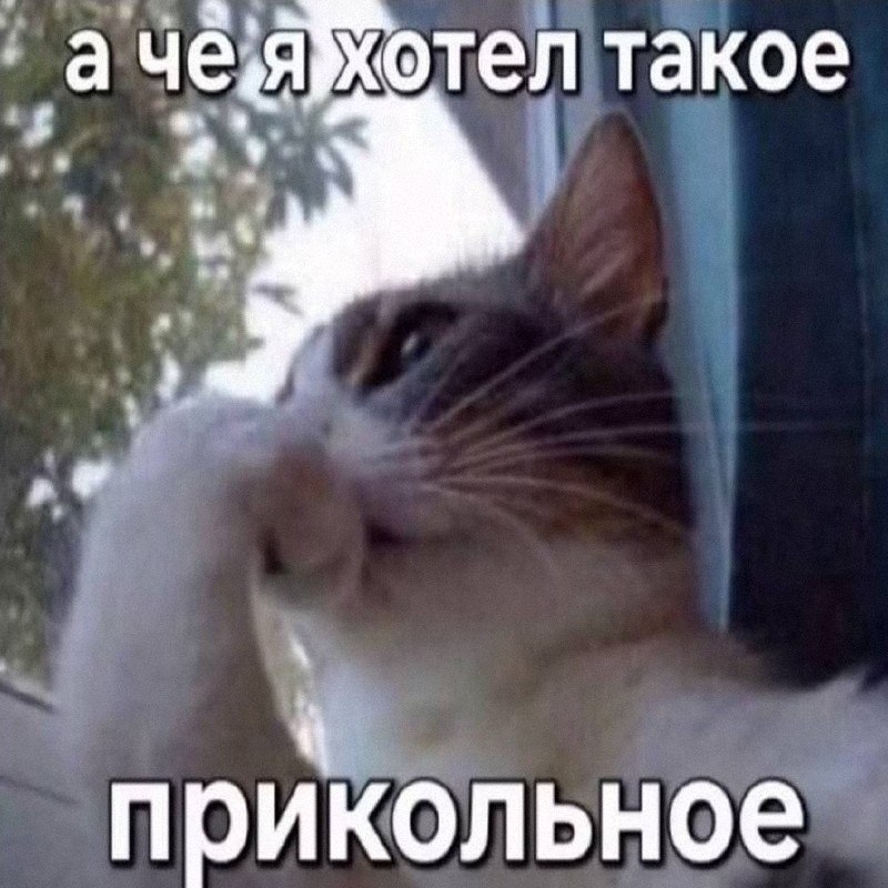 Утренняя подборочка
