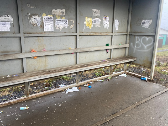 Добрый день когда у нас в городе будет порядок на остан...