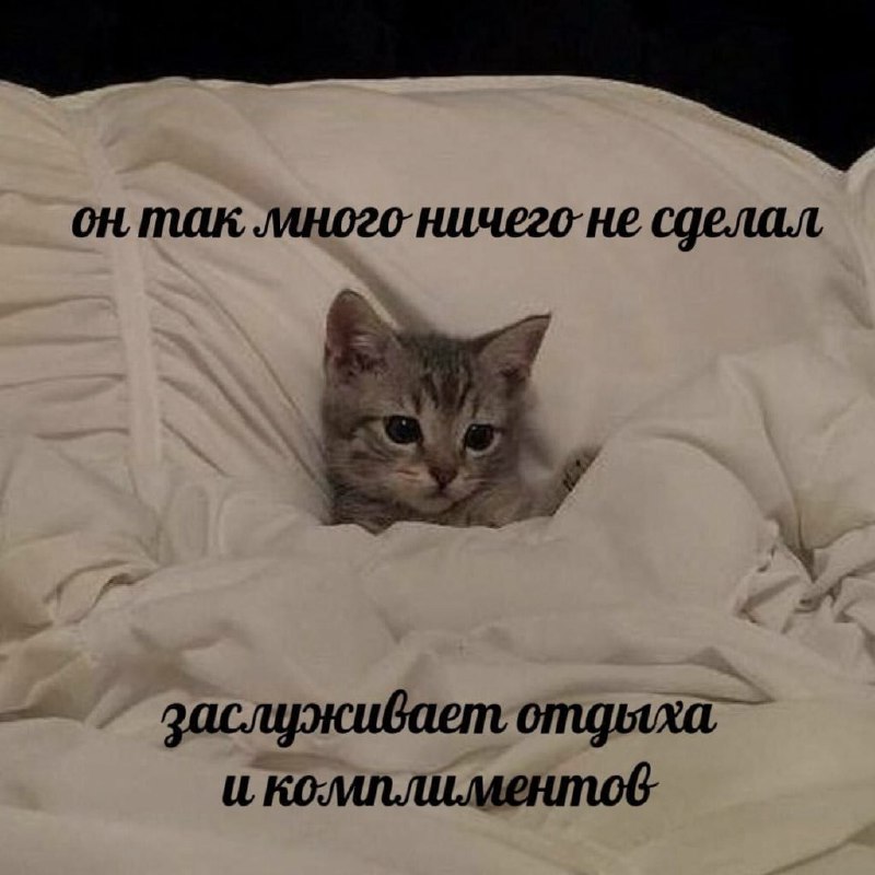 Ночная подборочка
Спать, режим