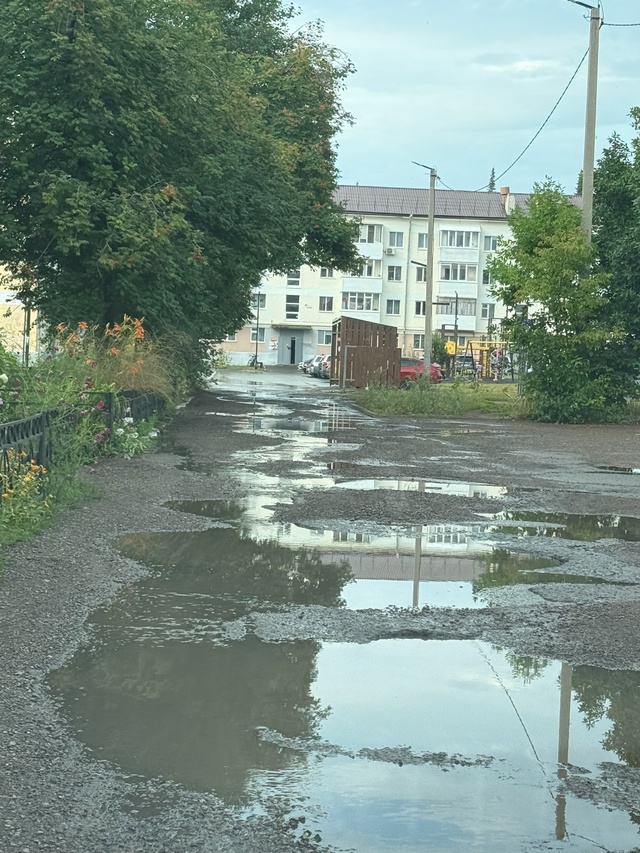 Сделайте нормальную дорогу возле общежития Педколлед?...