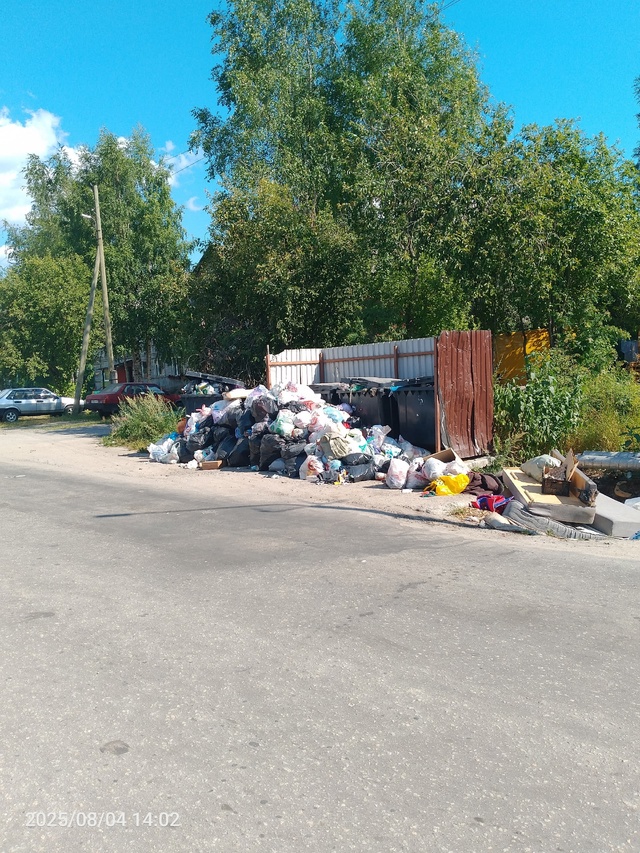 Начнут когда нибудь мусор вывозить на улице Карла Либк...