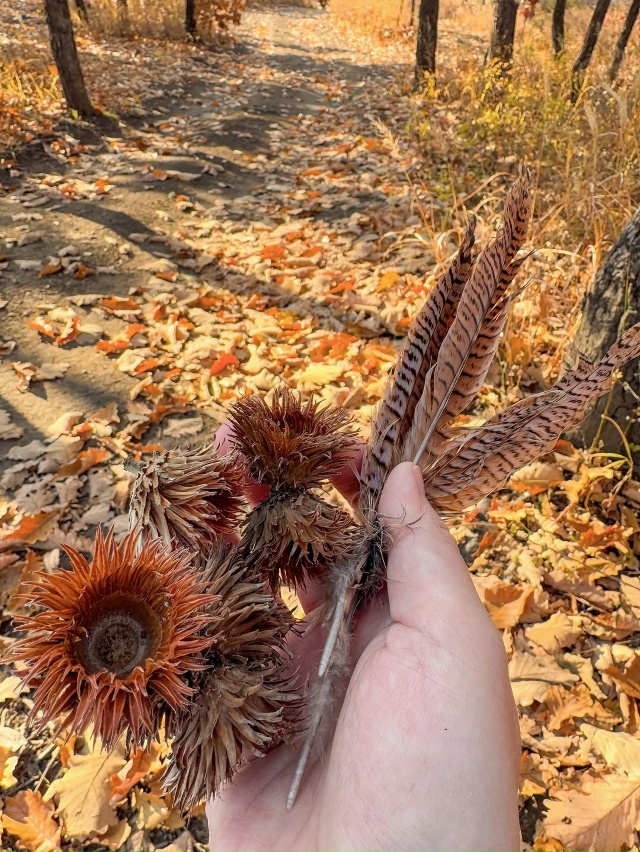 Мыс Сосновый, Приморье 🇷🇺