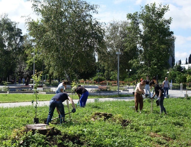 А на Аллее Курчатова на славу потрудились работники АО...