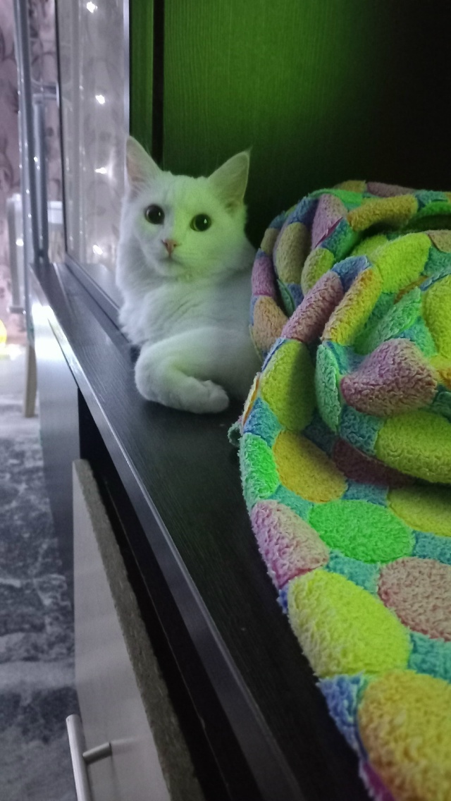 Женщина, что делаешь то, как спать то теперь...