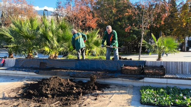 Площадь Советская станет одной из самых ярких и зелёны...